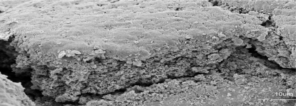 Materials 07 01814f6 1024