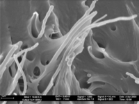 Materials 07 01995f6 200