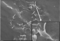 Materials 07 01995f7 200