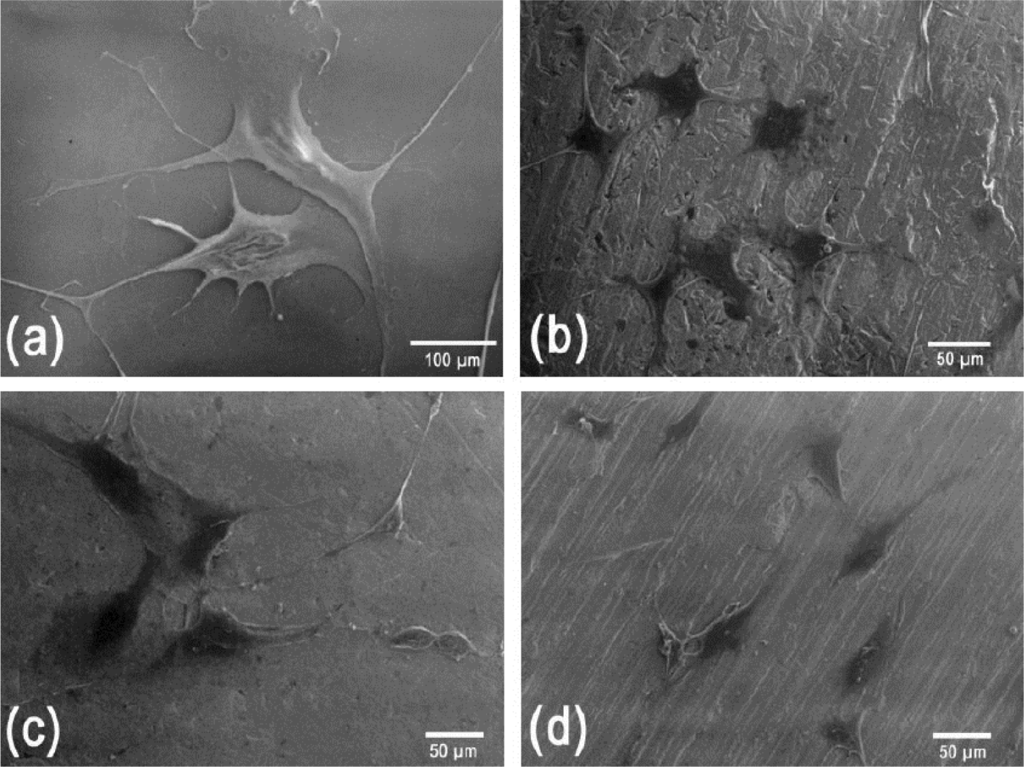 Materials 07 02183f6 1024