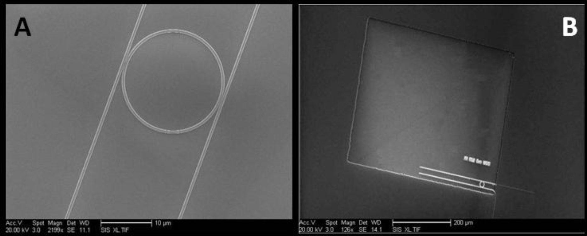 Materials 07 02229f7 1024