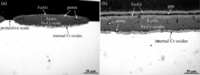 Materials 07 02772f11 200