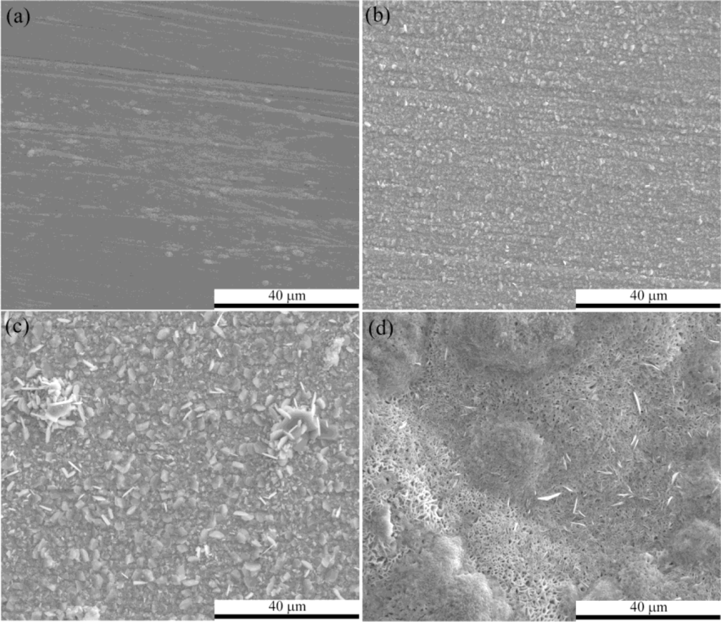 Materials 07 02772f2 1024