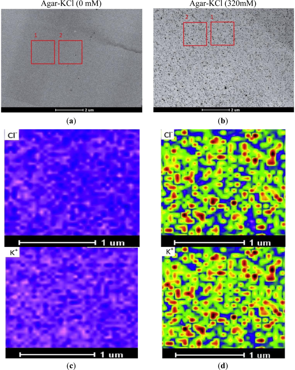 Materials 07 03160f1 1024