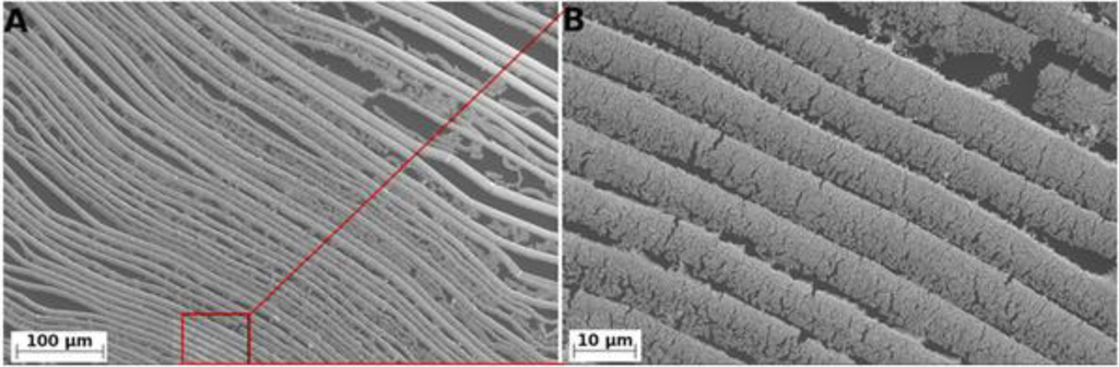Materials 07 03834f5 1024