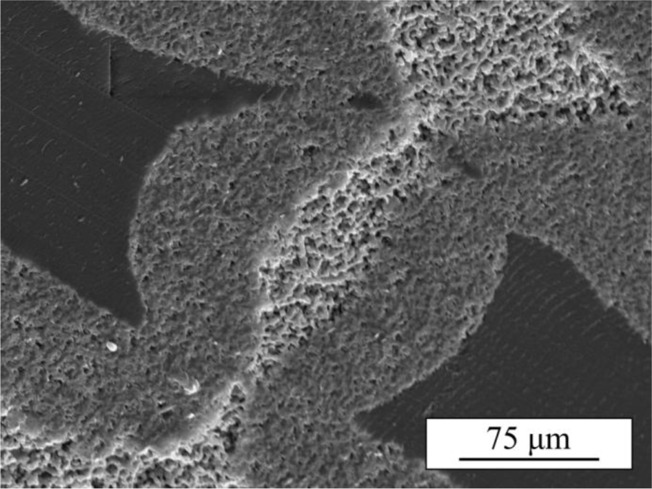 Materials 07 04001f8 1024