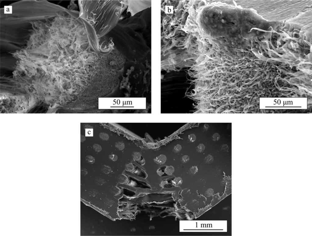 Materials 07 04001f9 1024