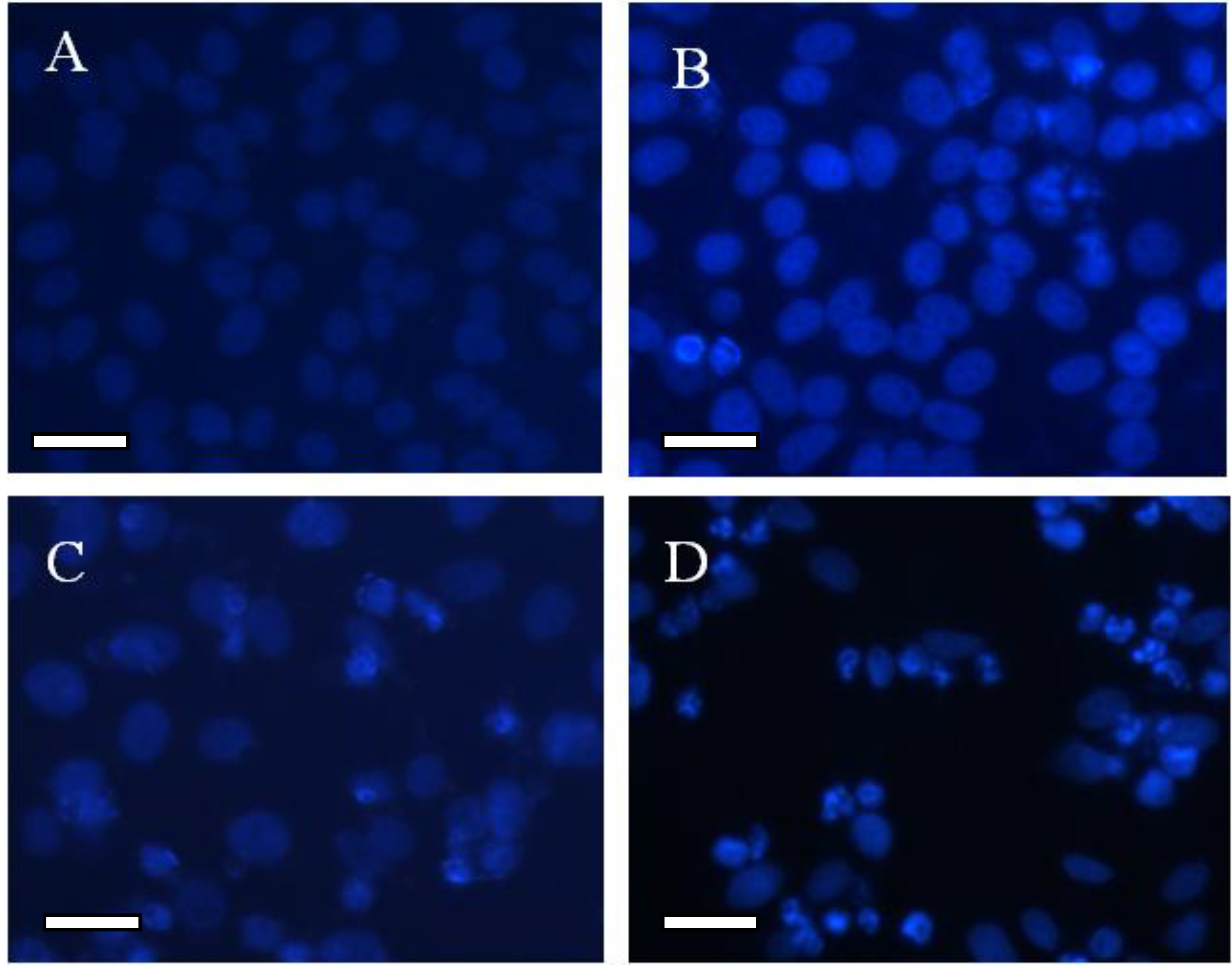 Materials 07 06865 g005