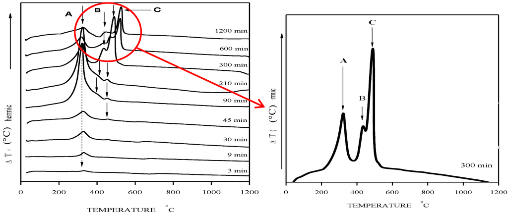 magnetoreception and magnetosomes in bacteria 2007