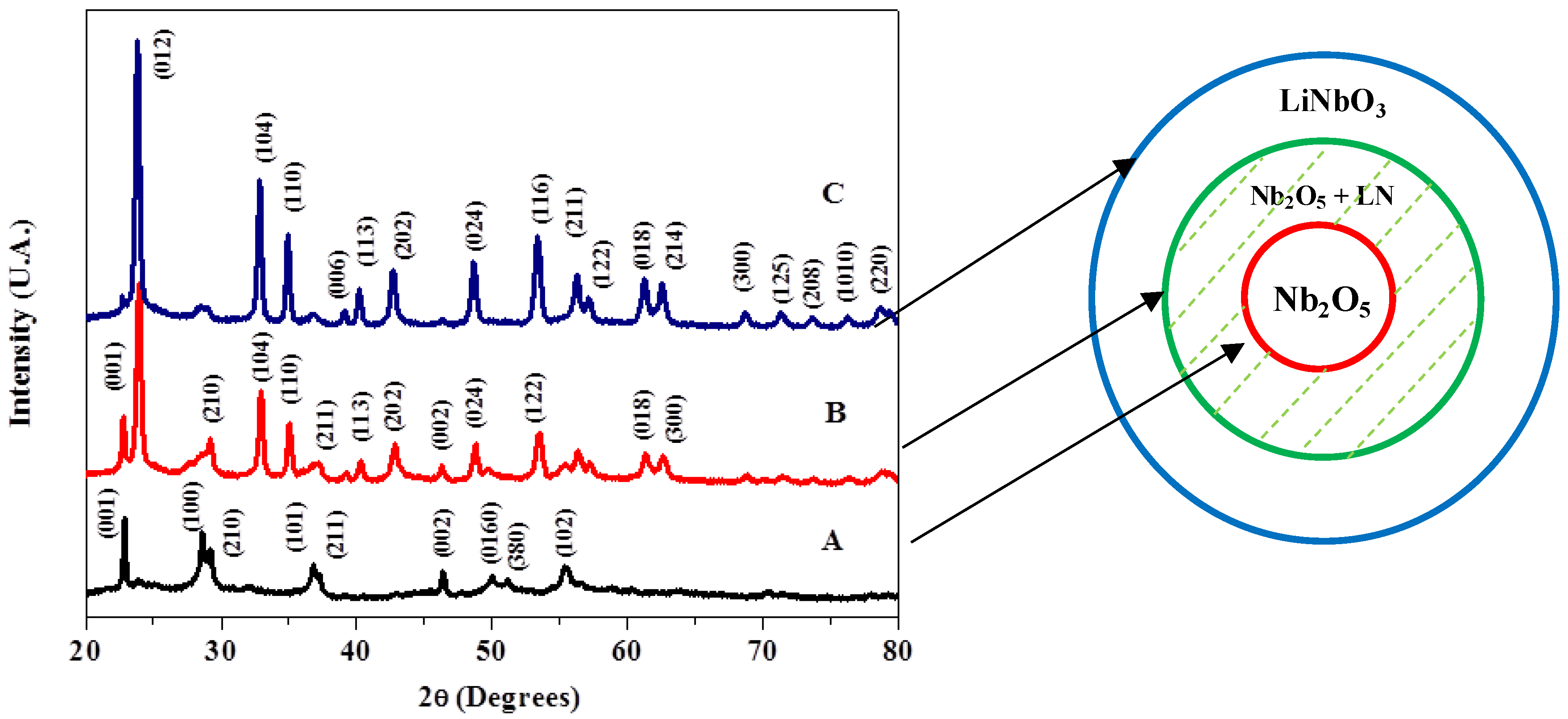 download la perspectiva genealógica de la