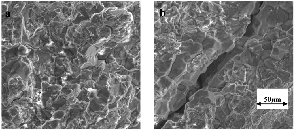 Stainless Steel Stress Corrosion Cracking