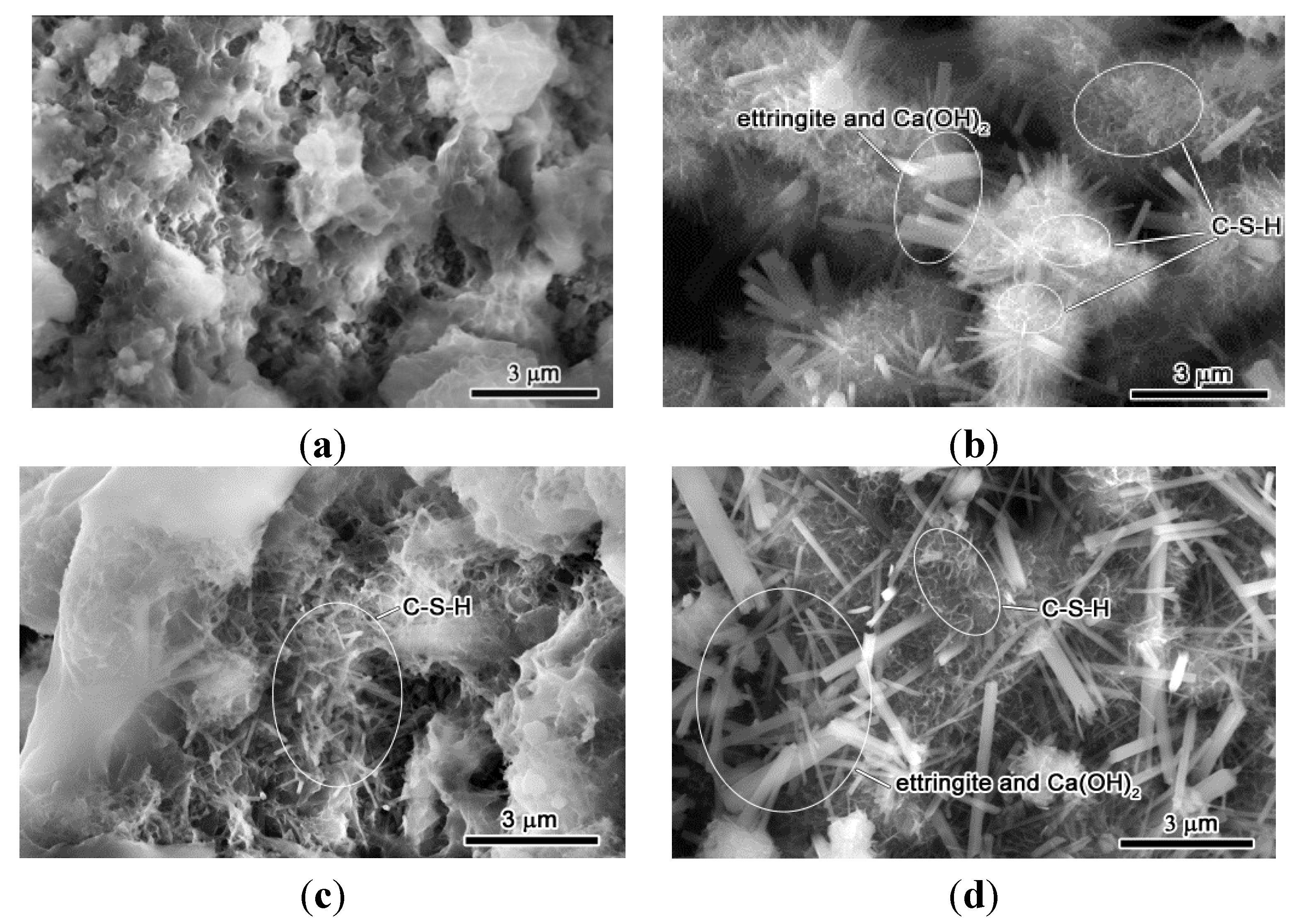 Materials 08 00638 g006a