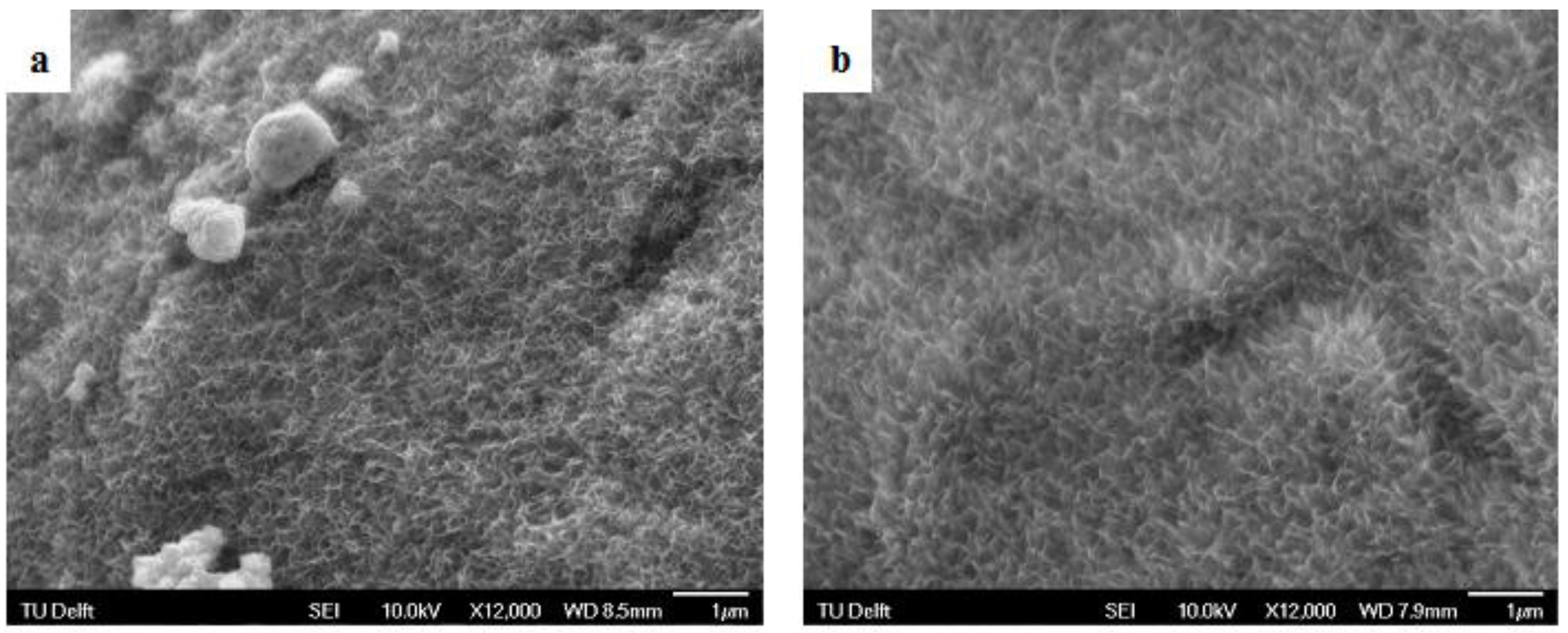 Materials 08 01612 g002a