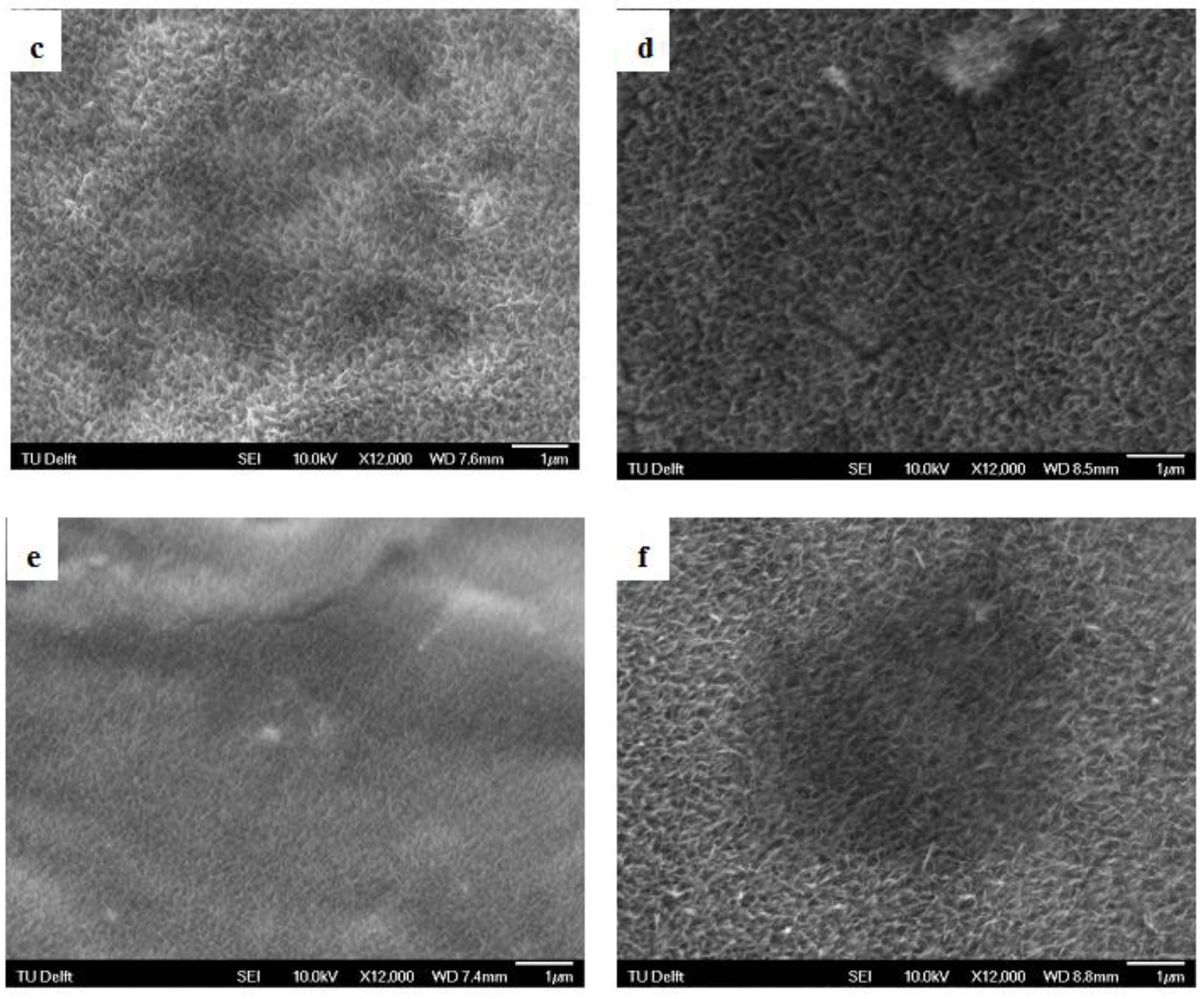 Materials 08 01612 g002b