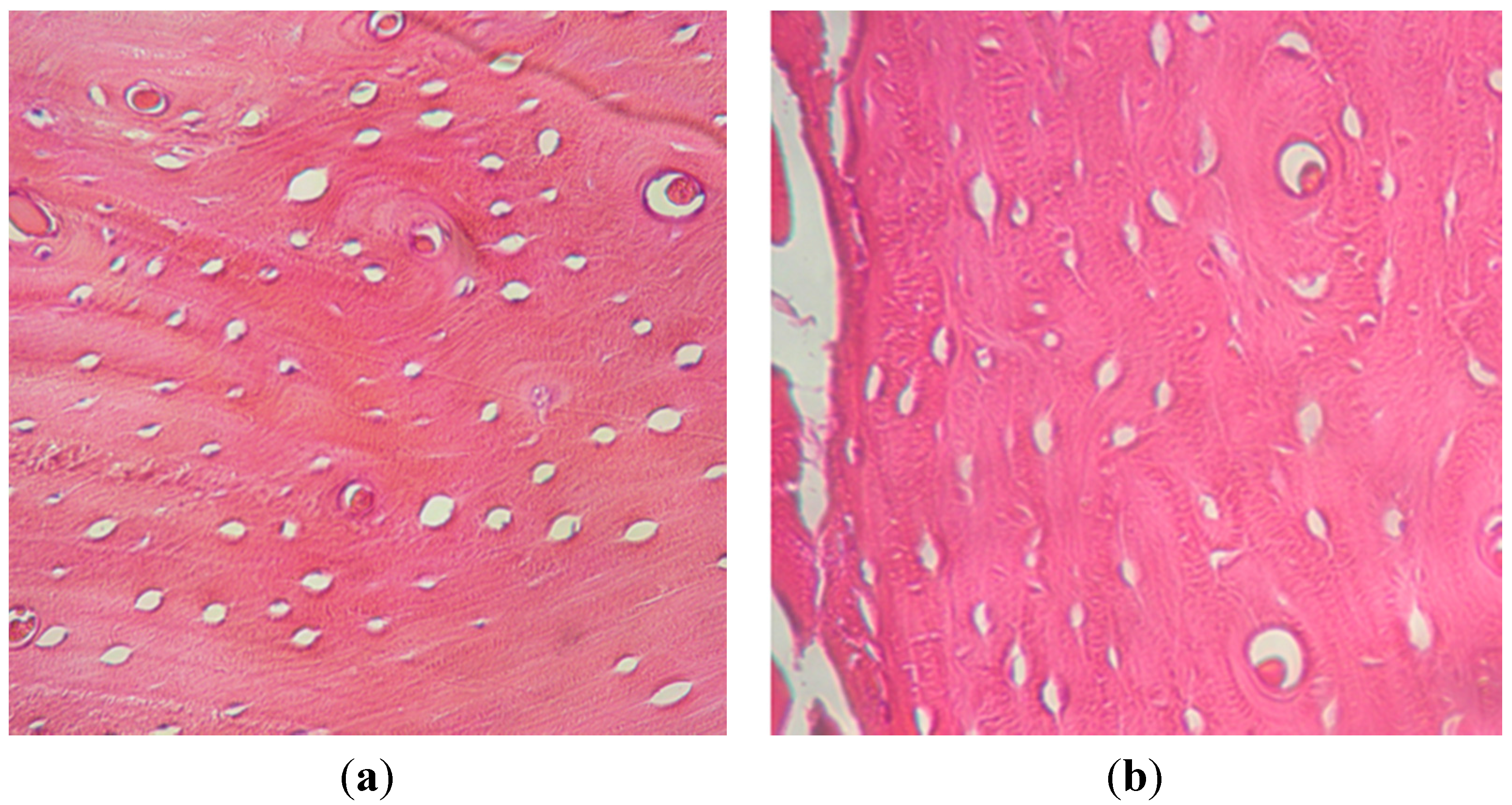 Materials 08 04843 g003