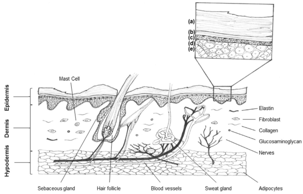 Materials 08 05154 g001 1024