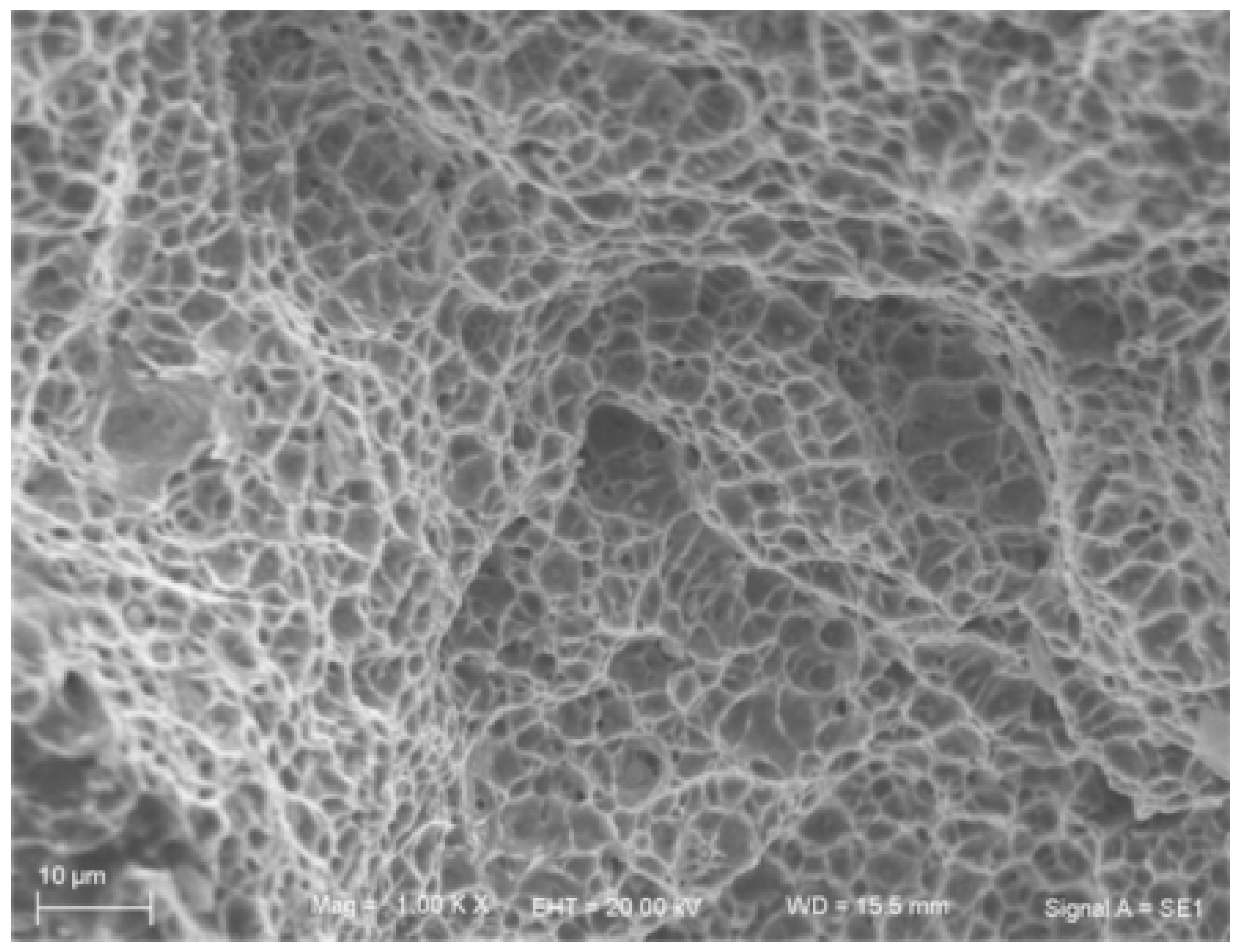 Materials 08 05325 g019