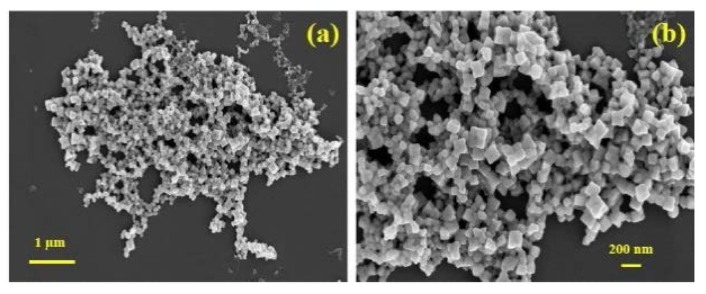 silver nanoparticle synthesis thesis Green synthesis of silver nanoparticle using euphorbia hirta l and their antifungal activities plant material and synthesis of silver nanoparticles. silver nanoparticle synthesis thesis Green synthesis of silver nanoparticle using euphorbia hirta l and their antifungal activities plant material and synthesis of silver nanoparticles.