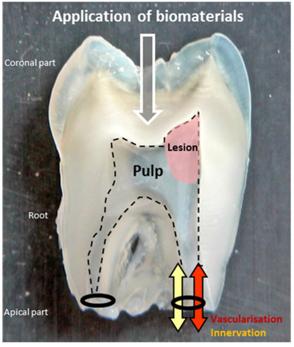 Materials Free FullText Active Nanomaterials to Meet the Challenge