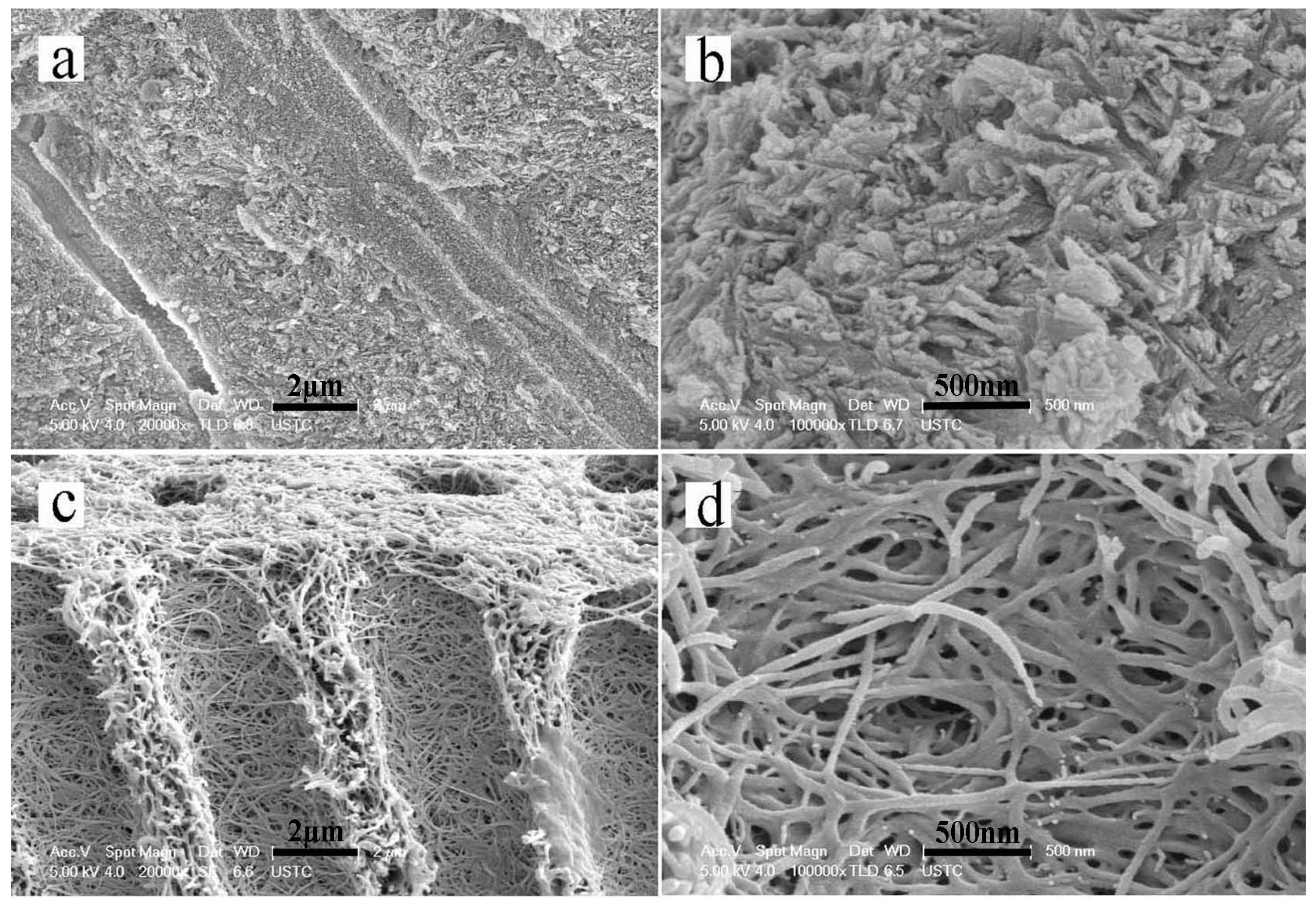 Materials | Free Full-Text | A Direct Electric Field-Aided Biomimetic