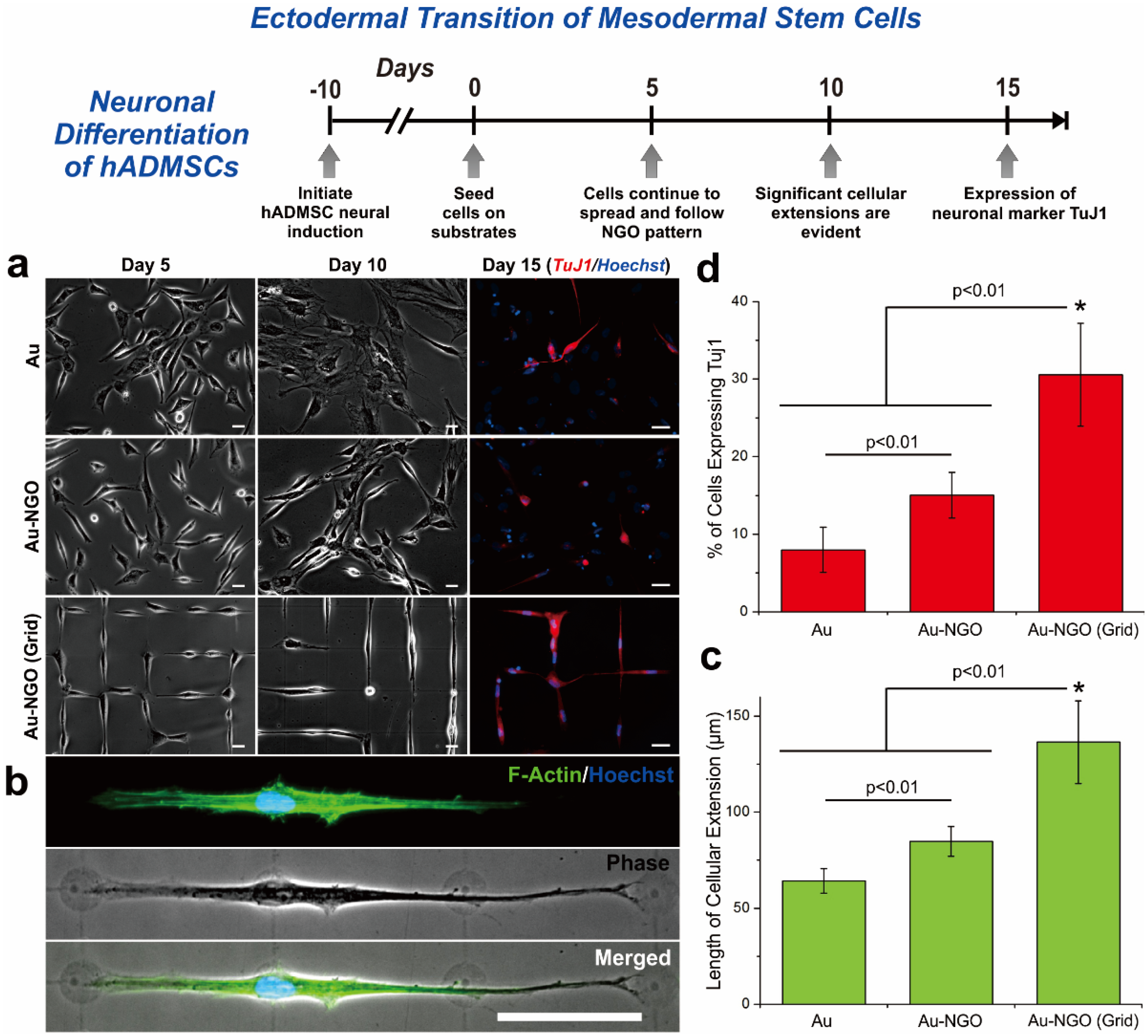 Materials 08 05481 g005