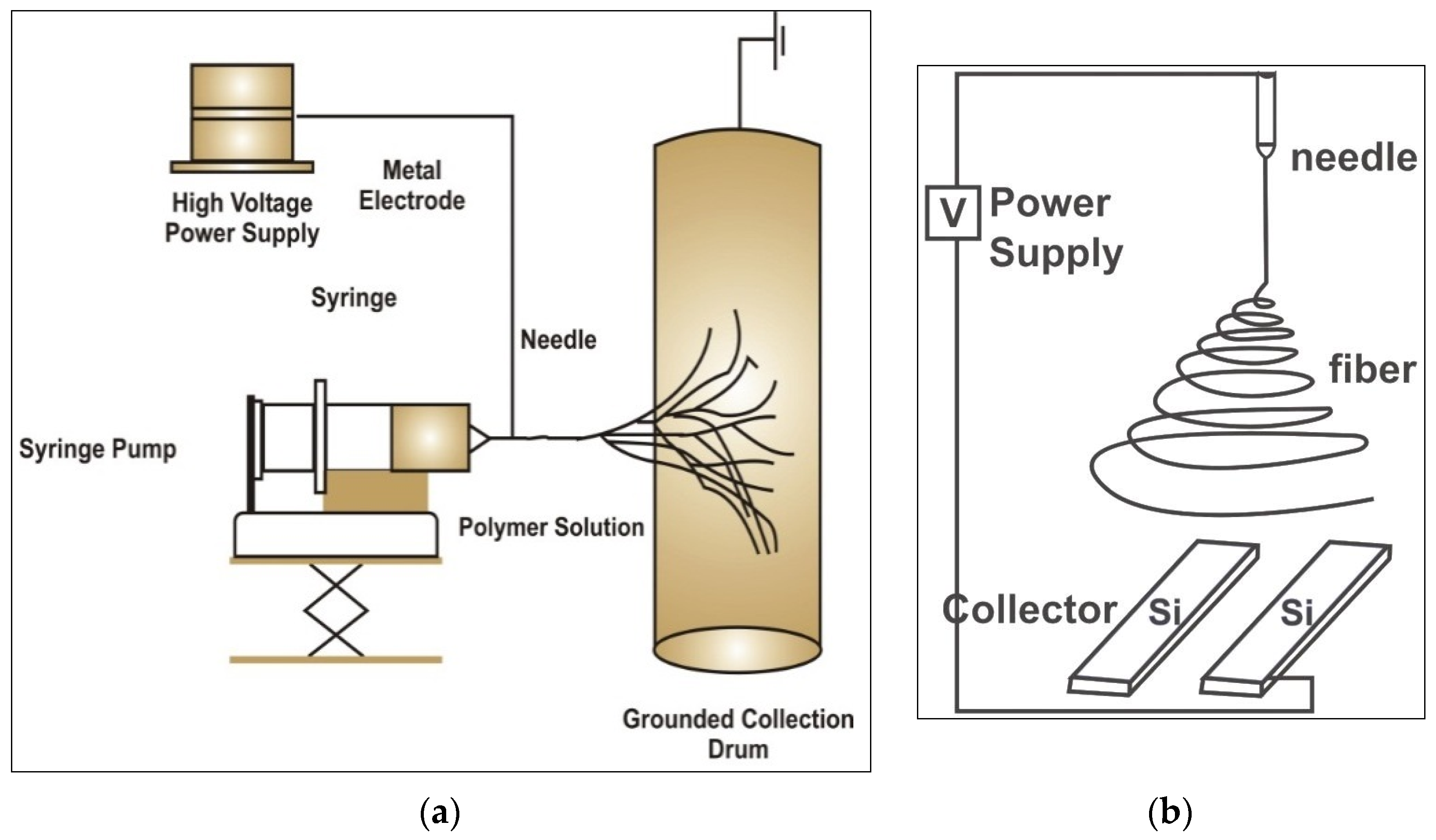 read fmri from nuclear spins to brain functions 2015