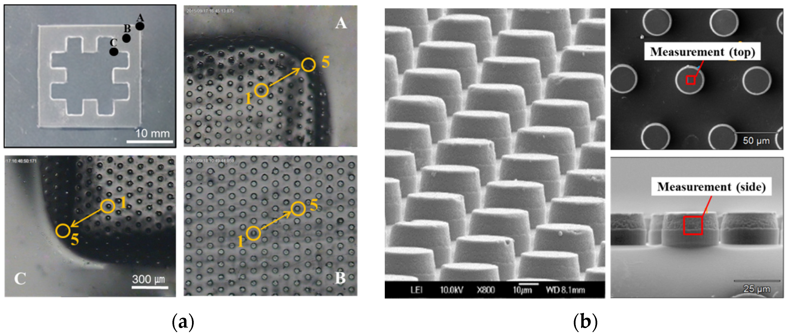 Materials 09 00136 g005