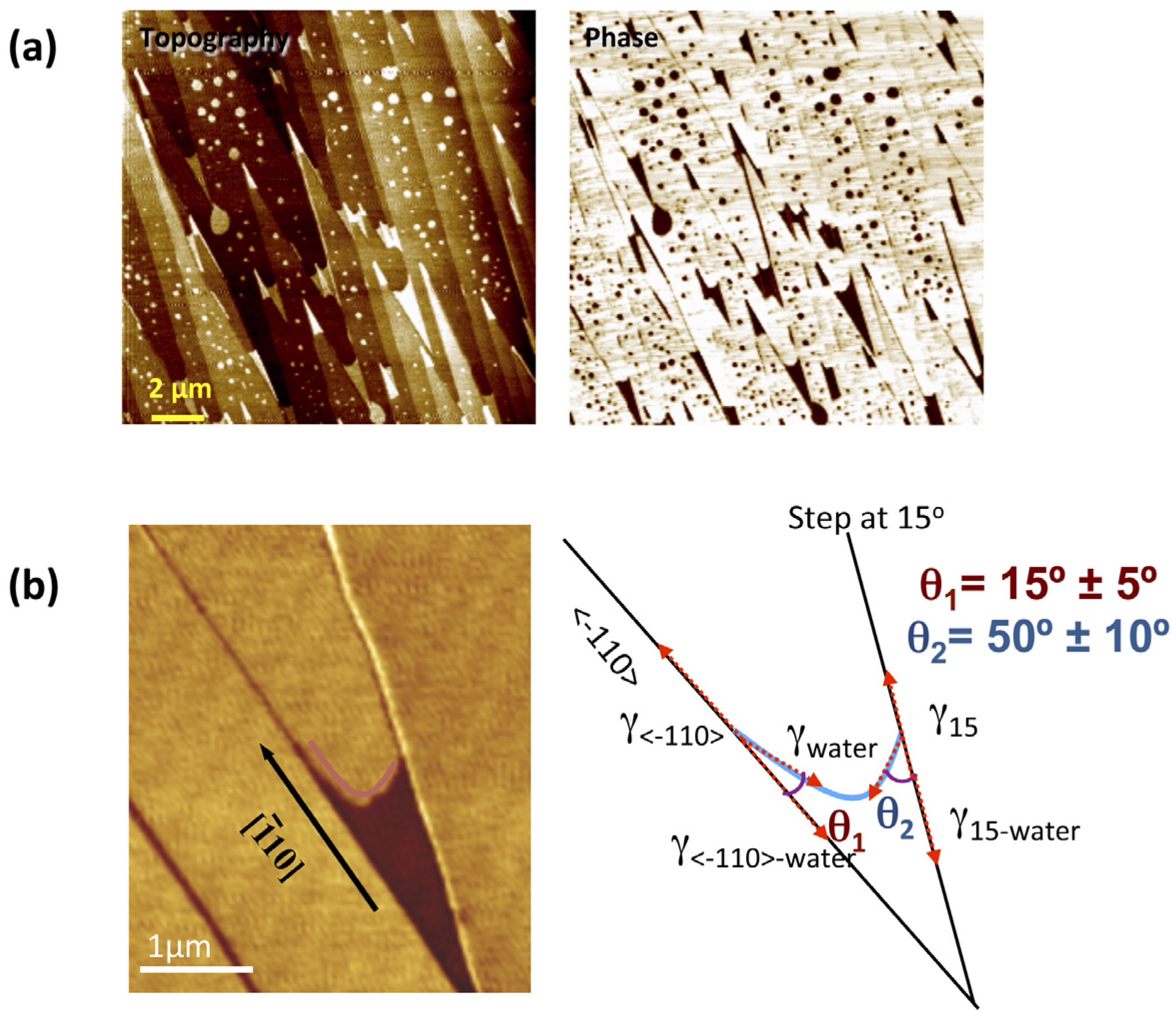 Materials 09 00182 g007