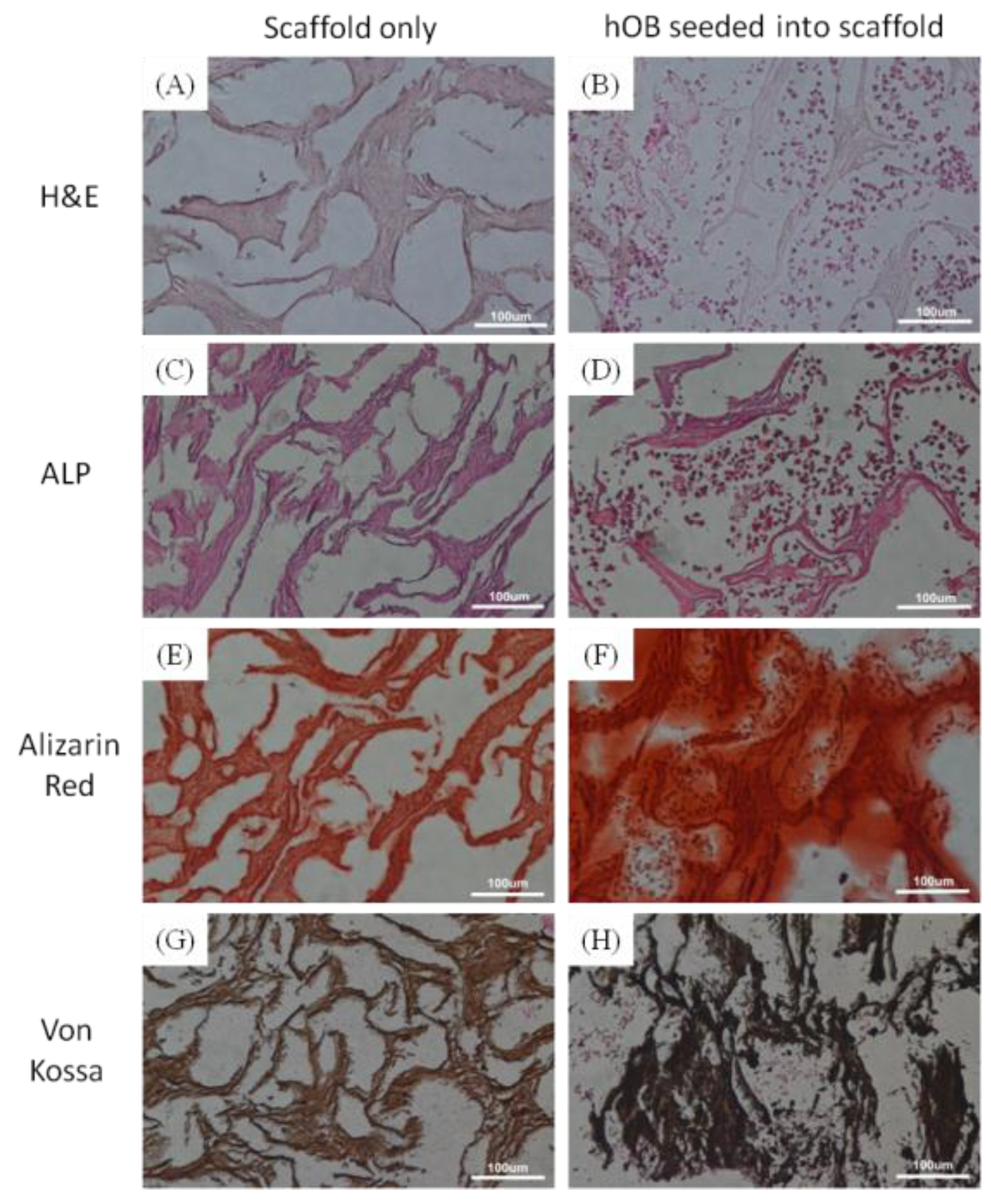 Materials 09 00198 g007