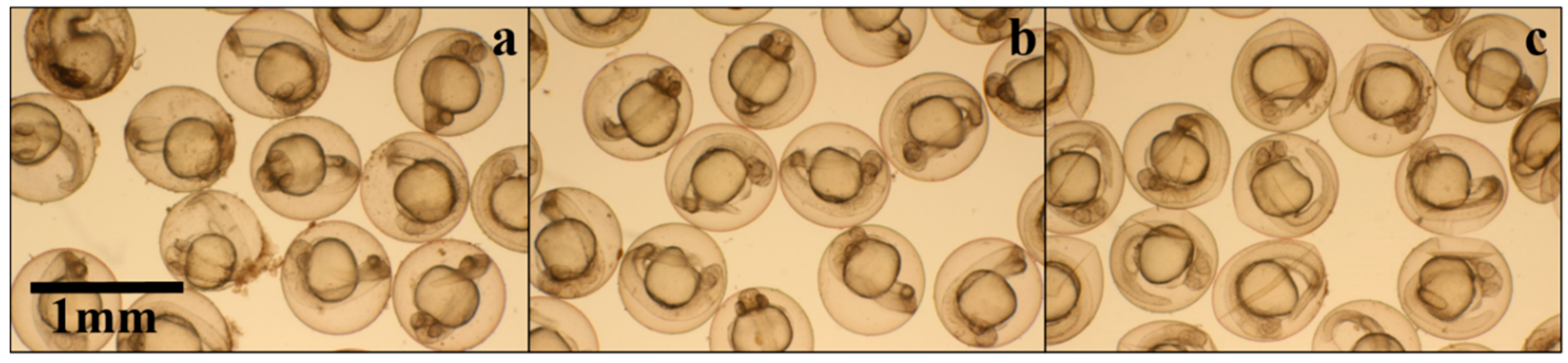 Materials 09 00338 g006