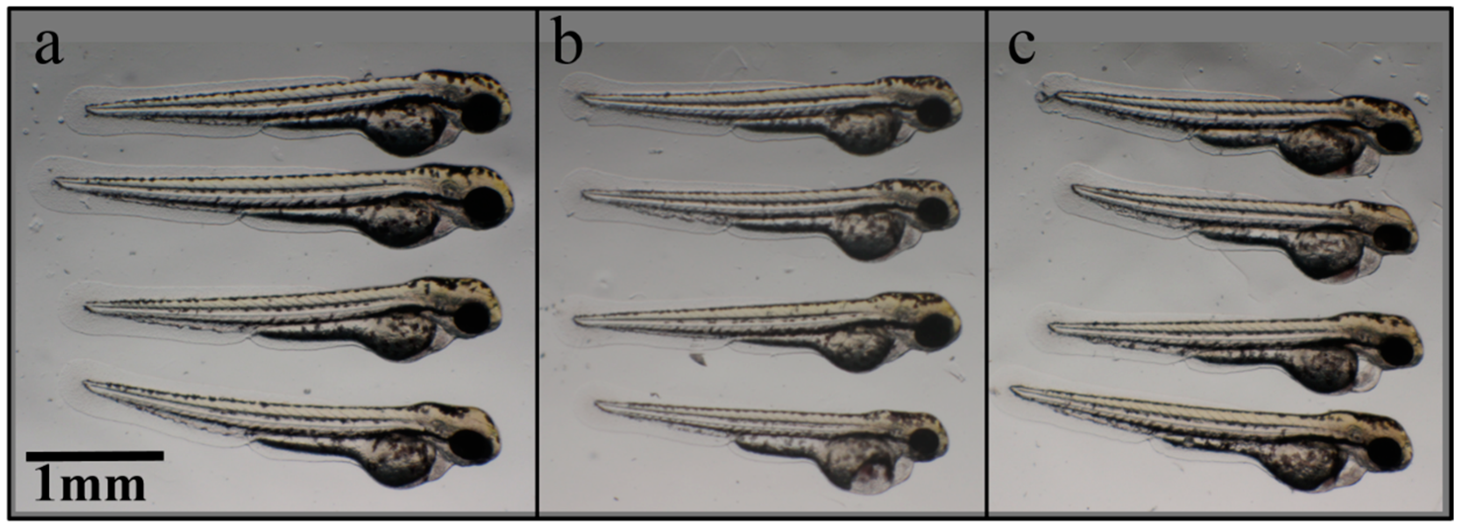 Materials 09 00338 g007