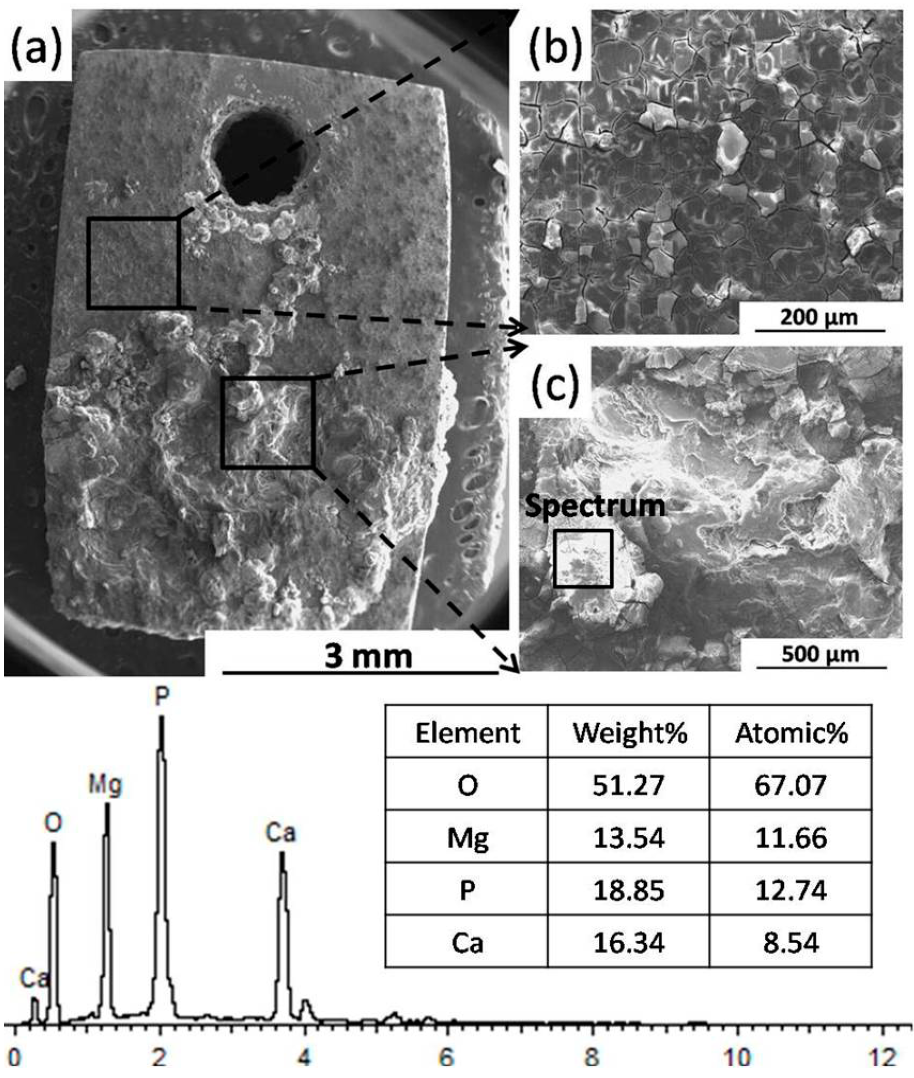 Materials 09 00542 g006