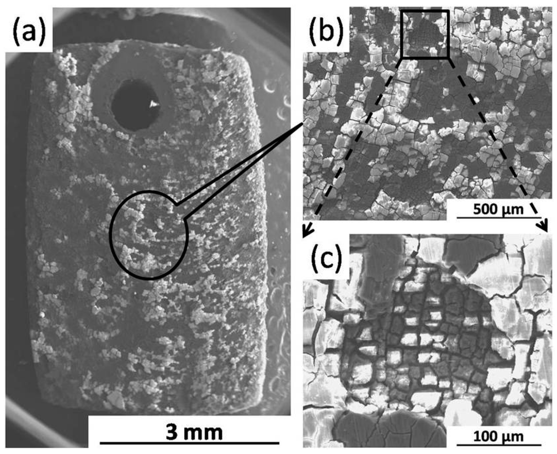 Materials 09 00542 g007