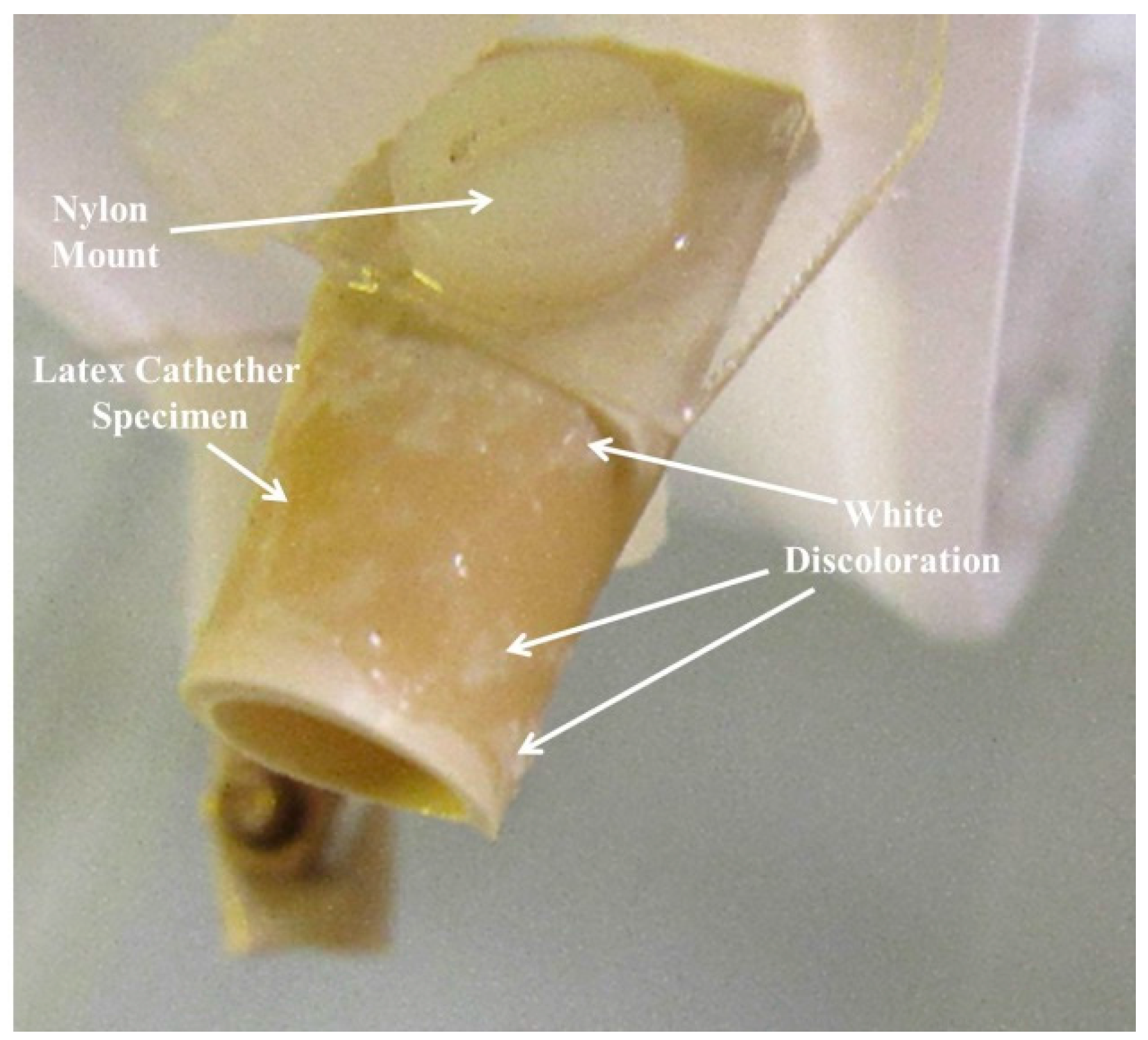 Materials 09 00568 g001