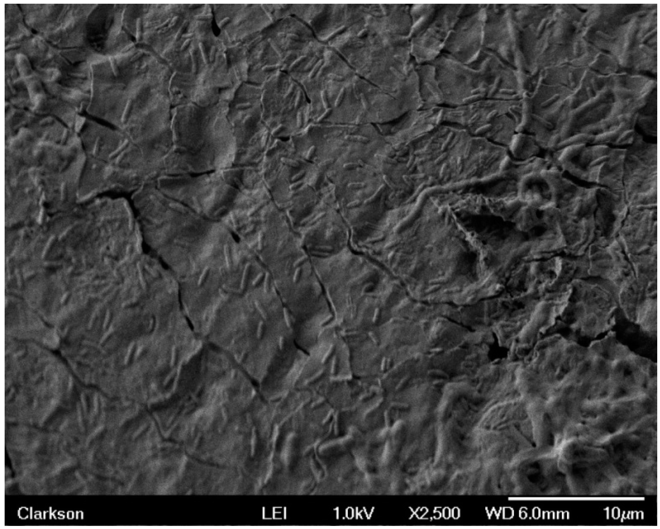 Materials 09 00568 g006