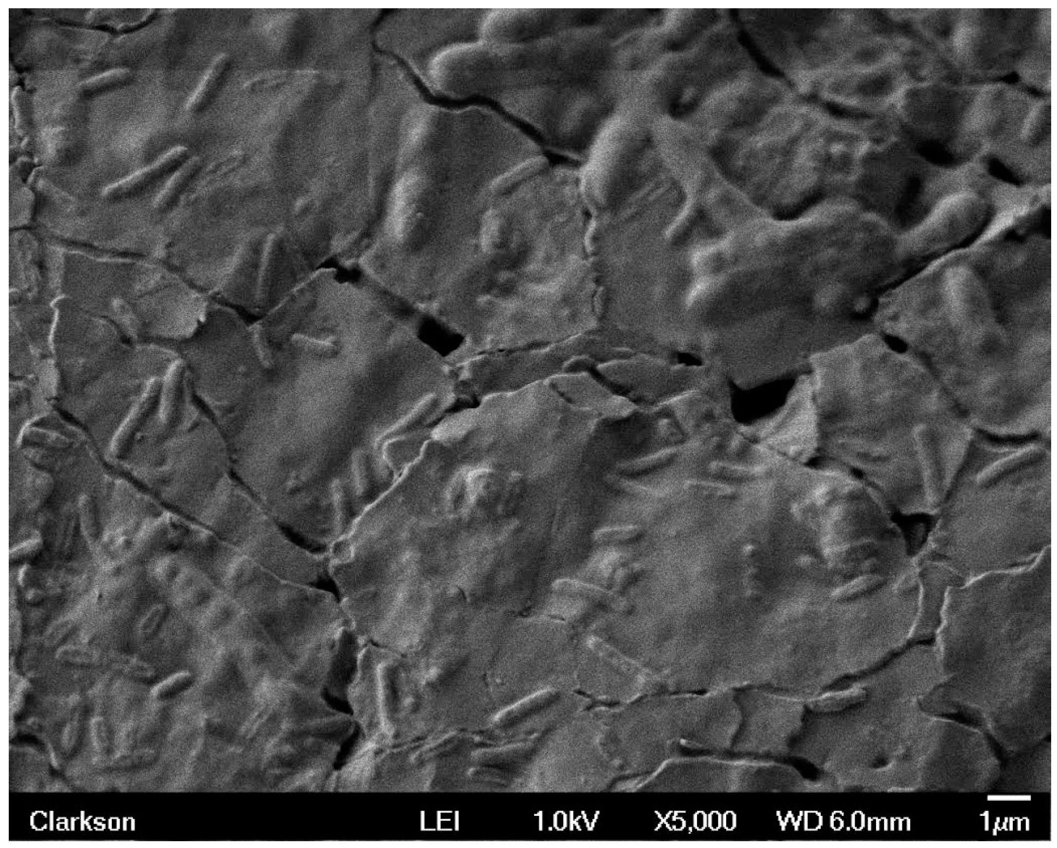 Materials 09 00568 g007