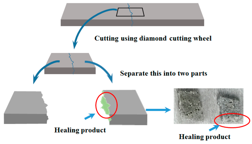 Materials Special Issue SelfHealing Concrete