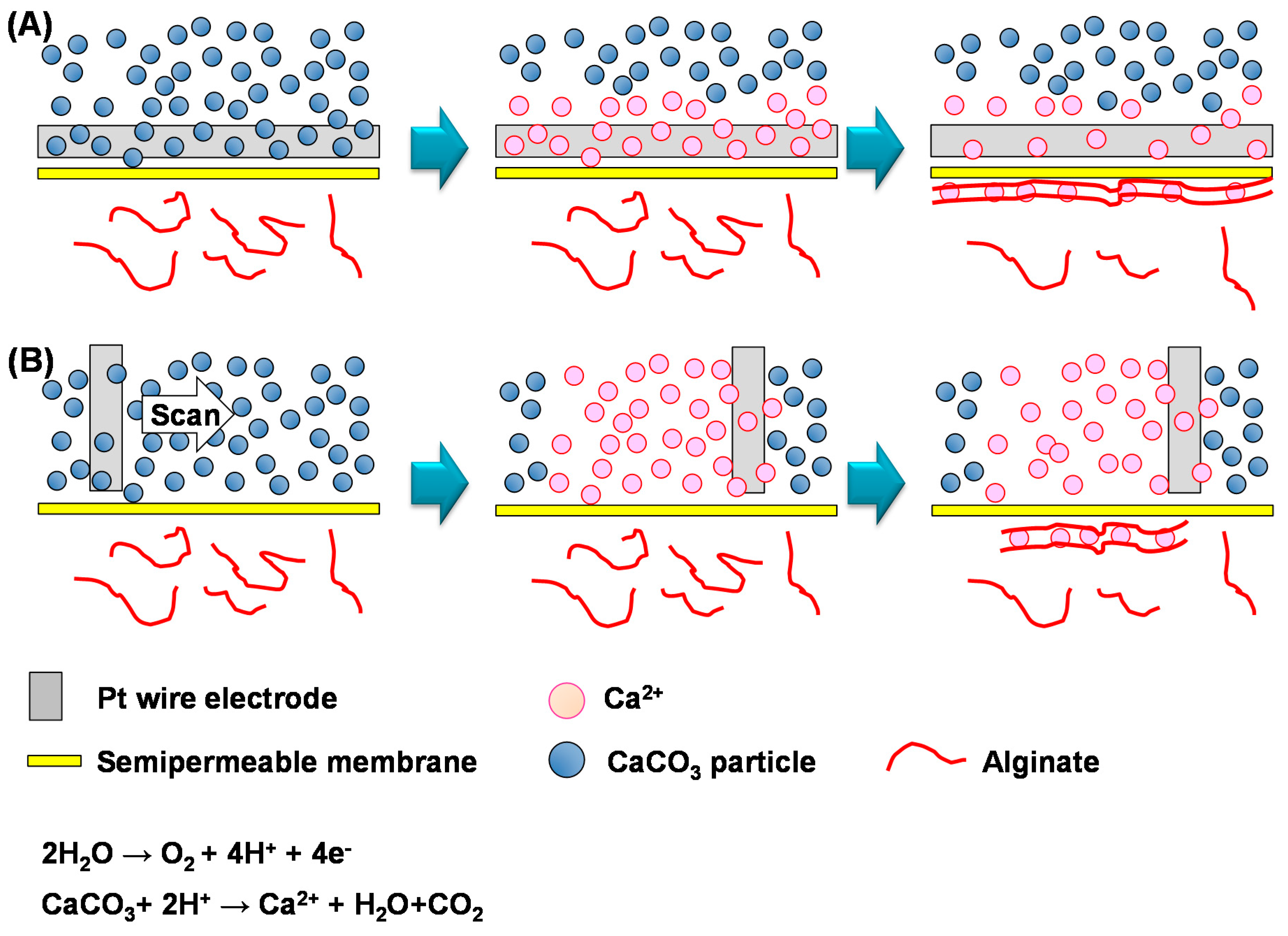 Materials 09 00744 g001