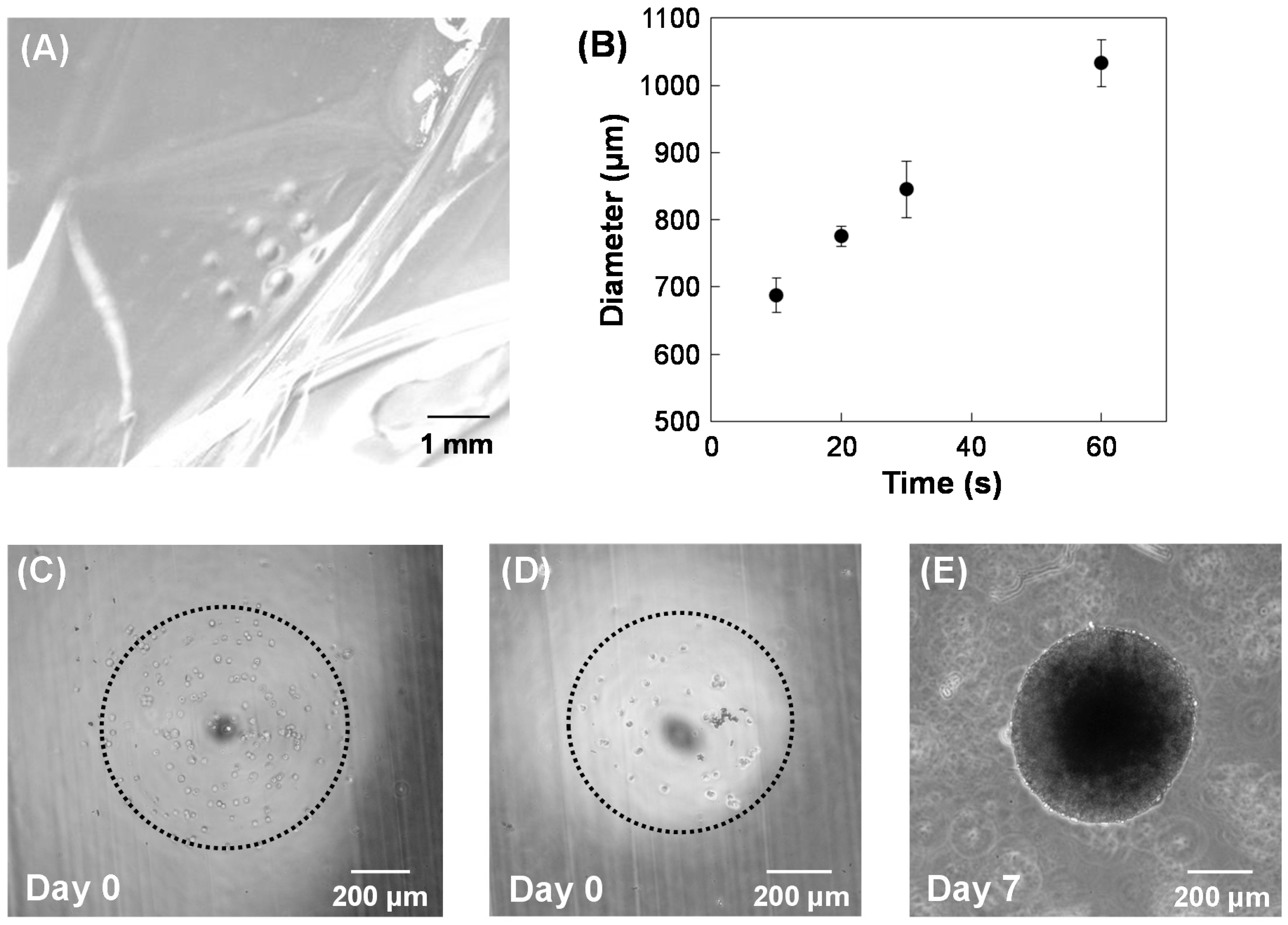 Materials 09 00744 g004