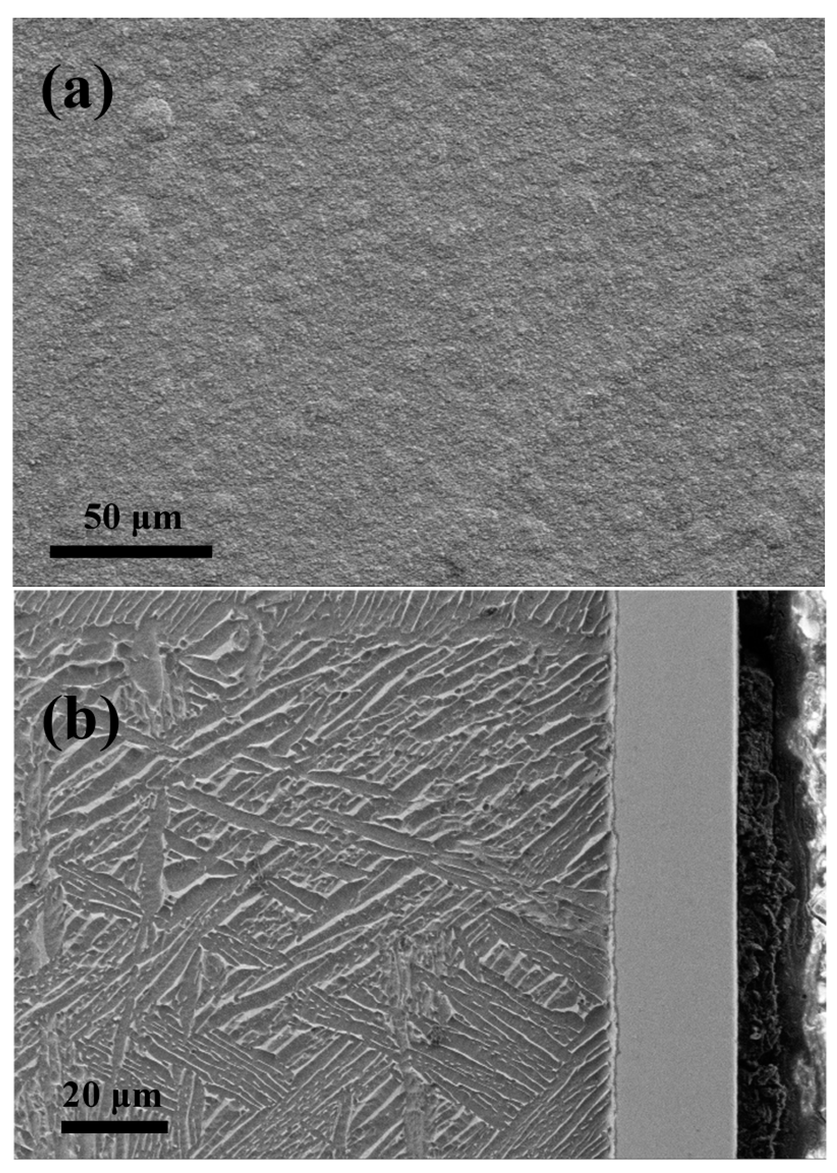 Materials 09 00772 g002