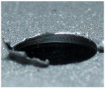 Materials 09 00774 i018