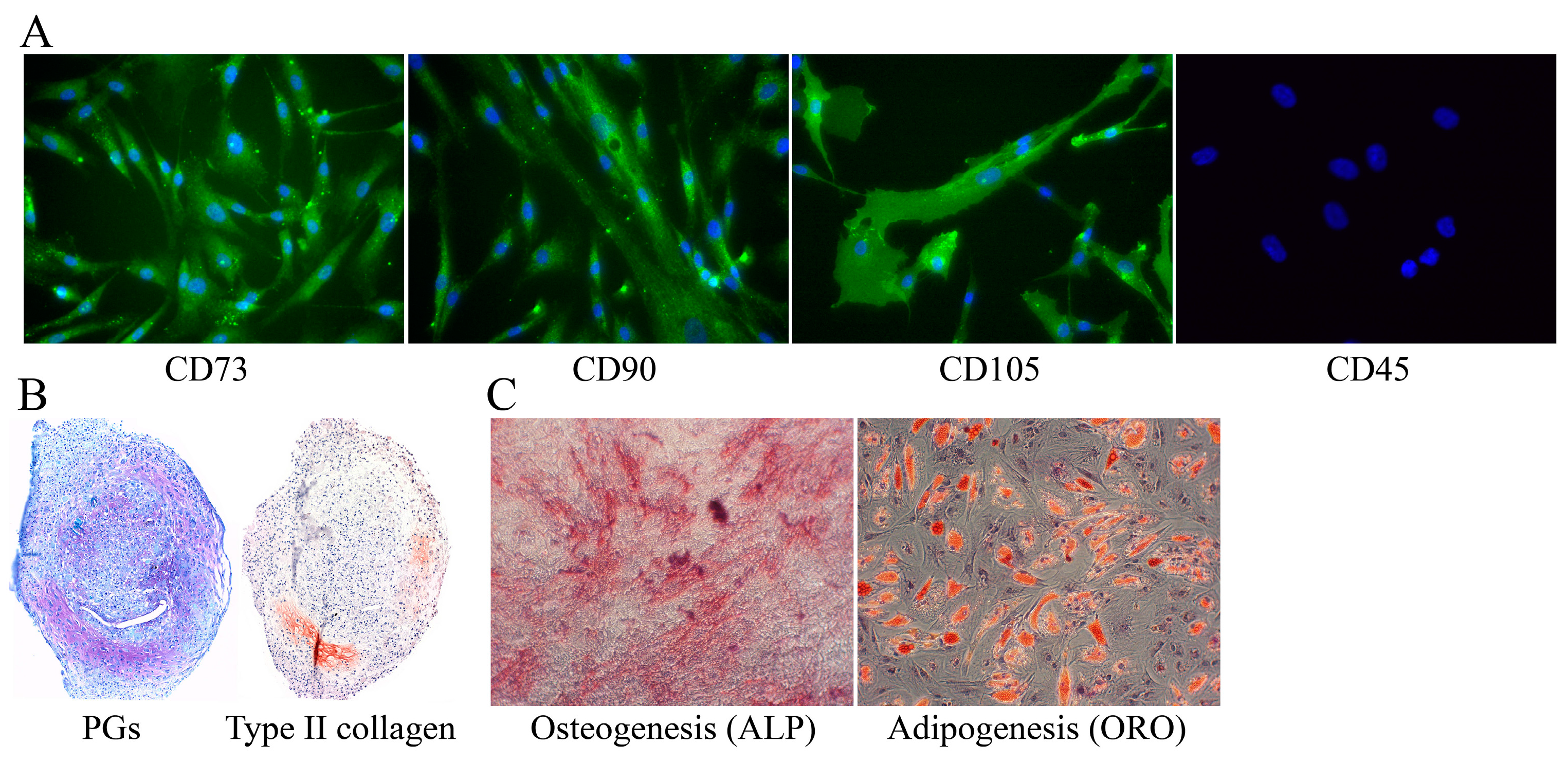 Materials 09 00827 g002