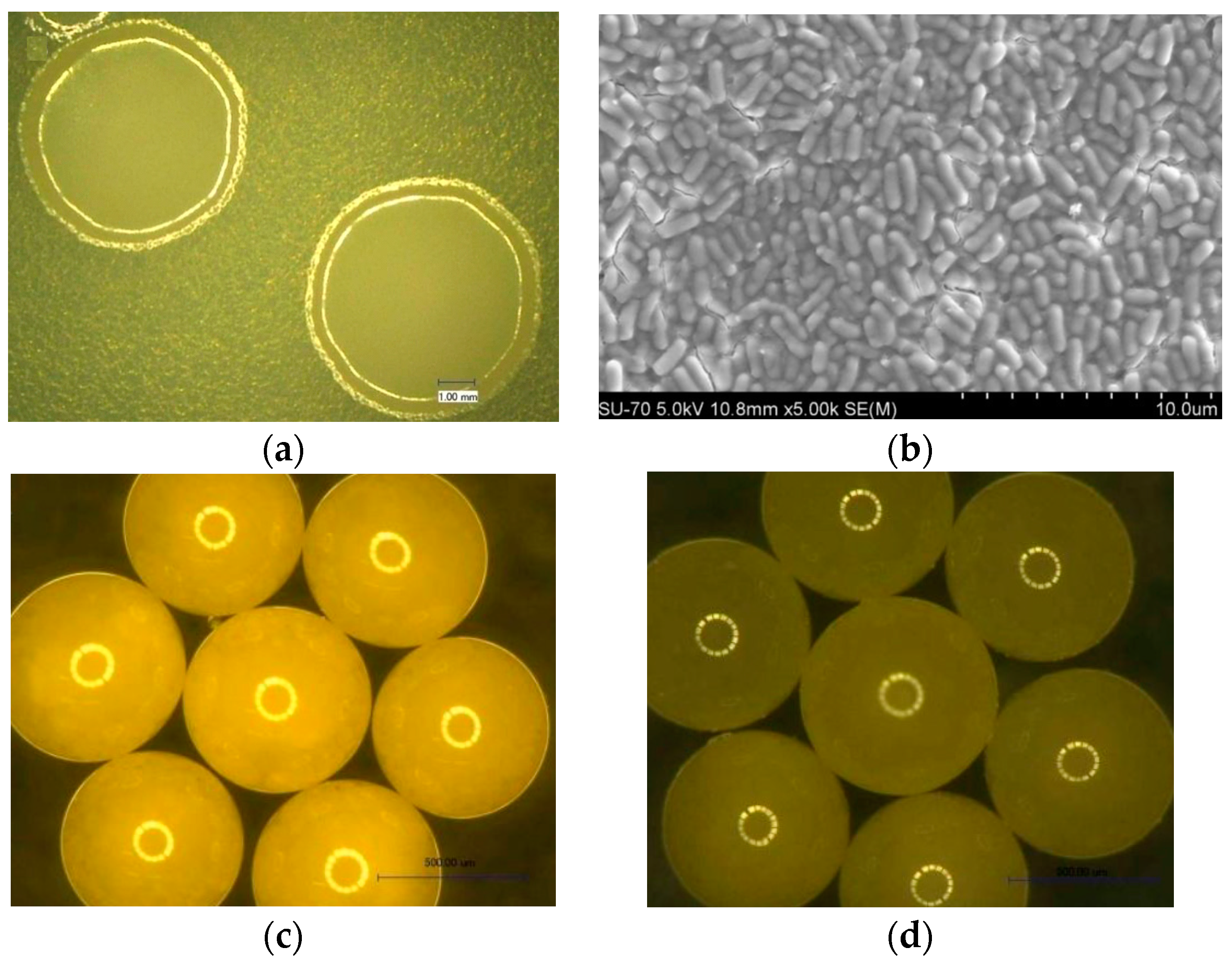 Materials 10 00002 g018