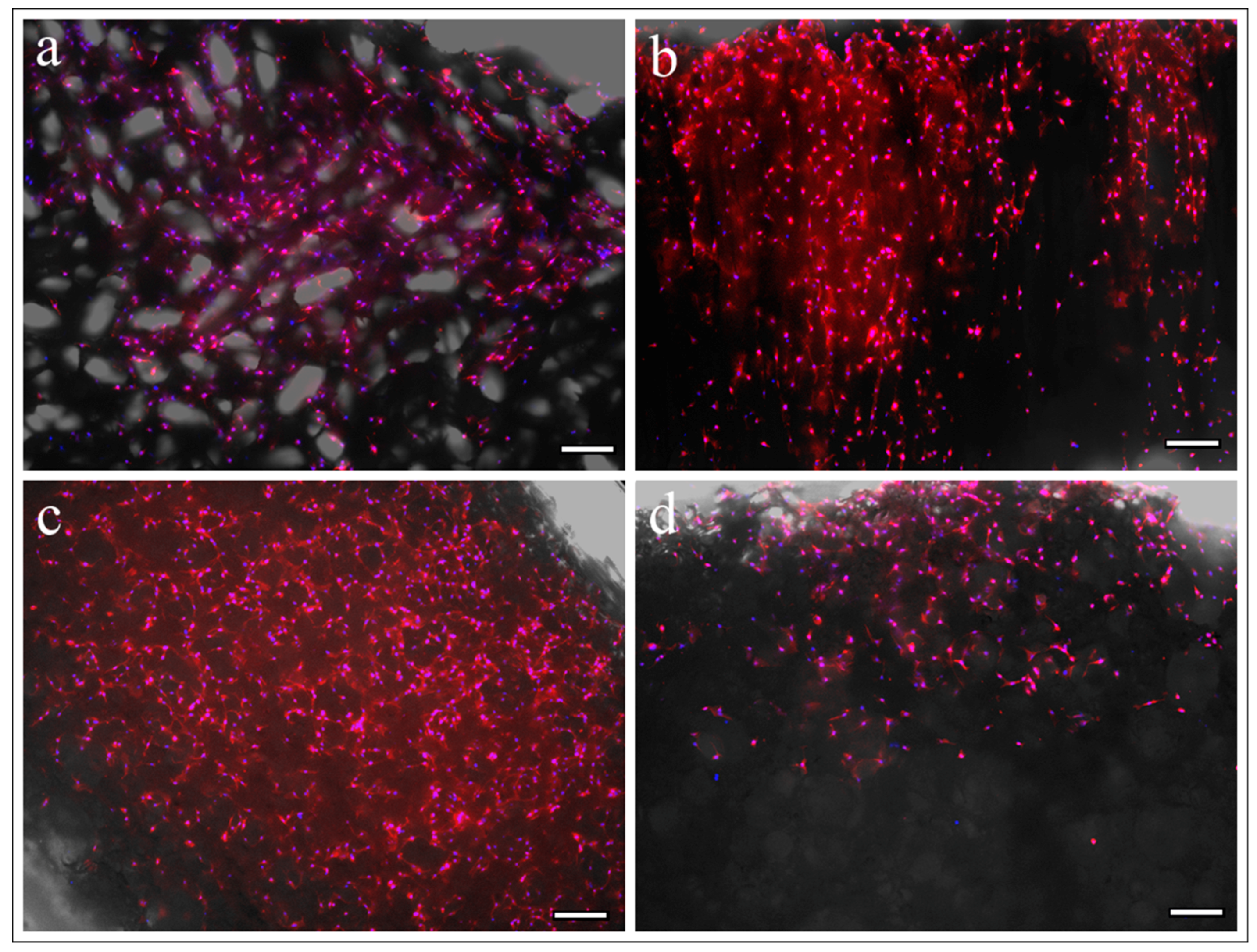 Materials 10 00033 g005