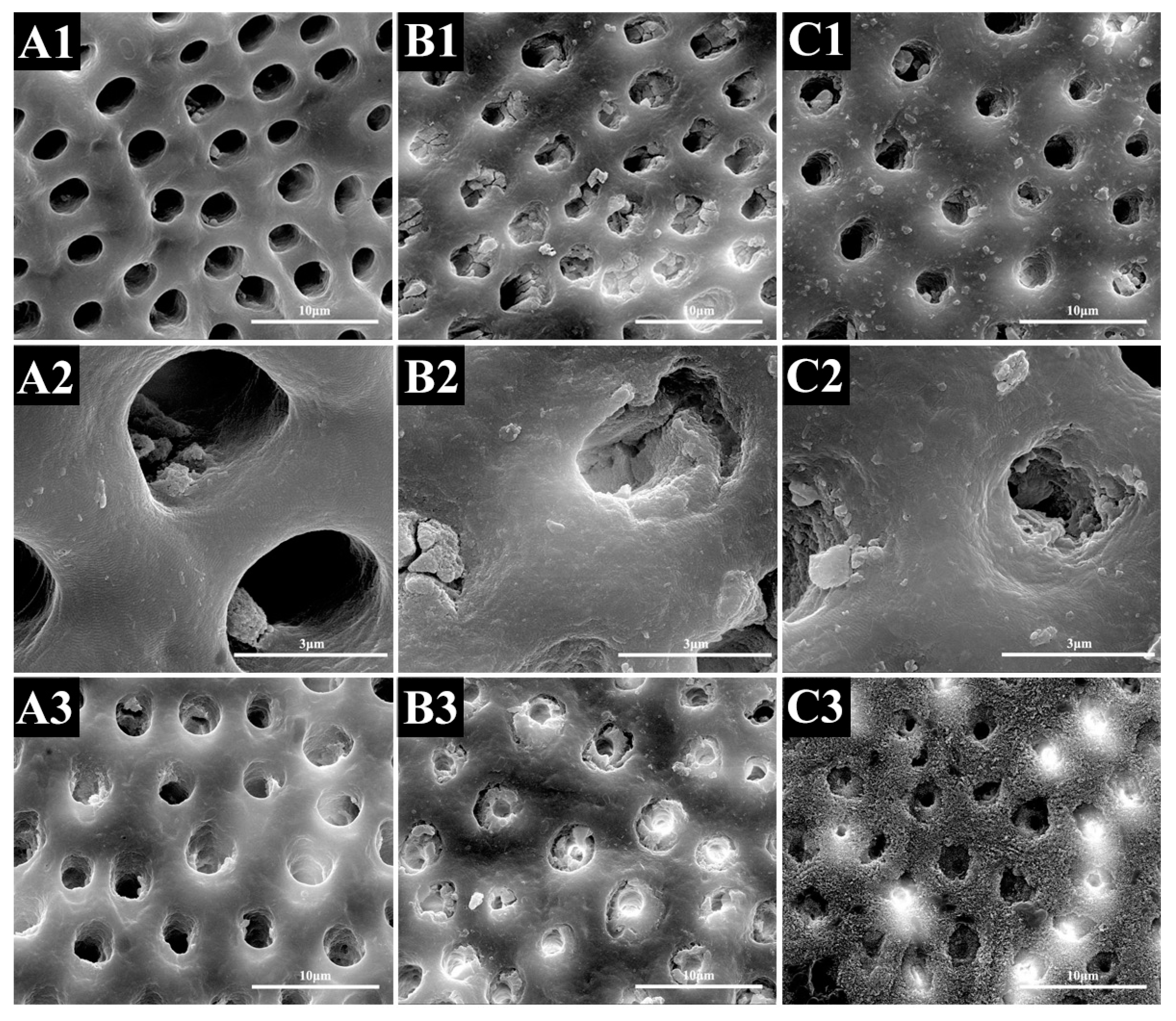 Materials 10 00384 g001a