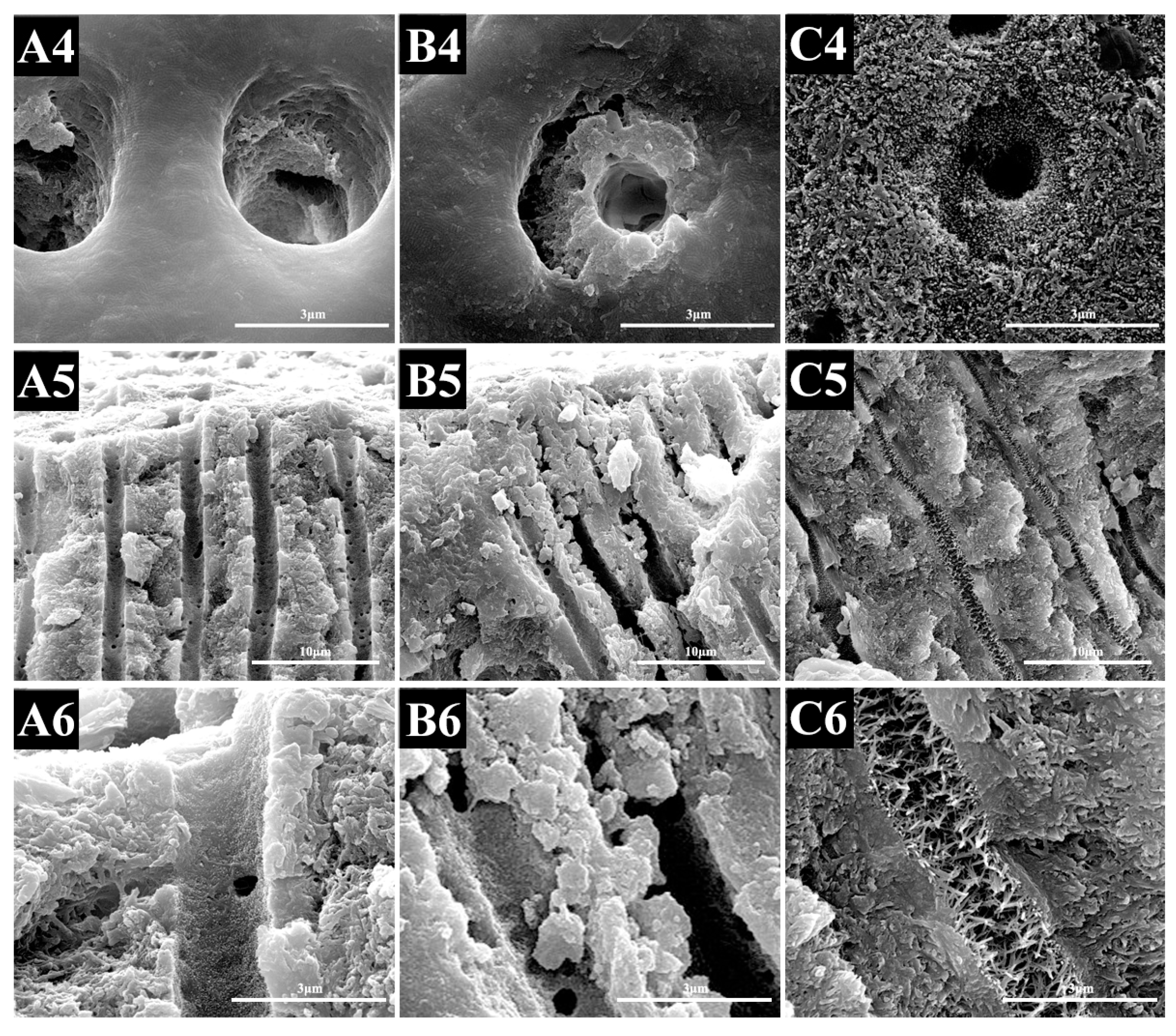 Materials 10 00384 g001b