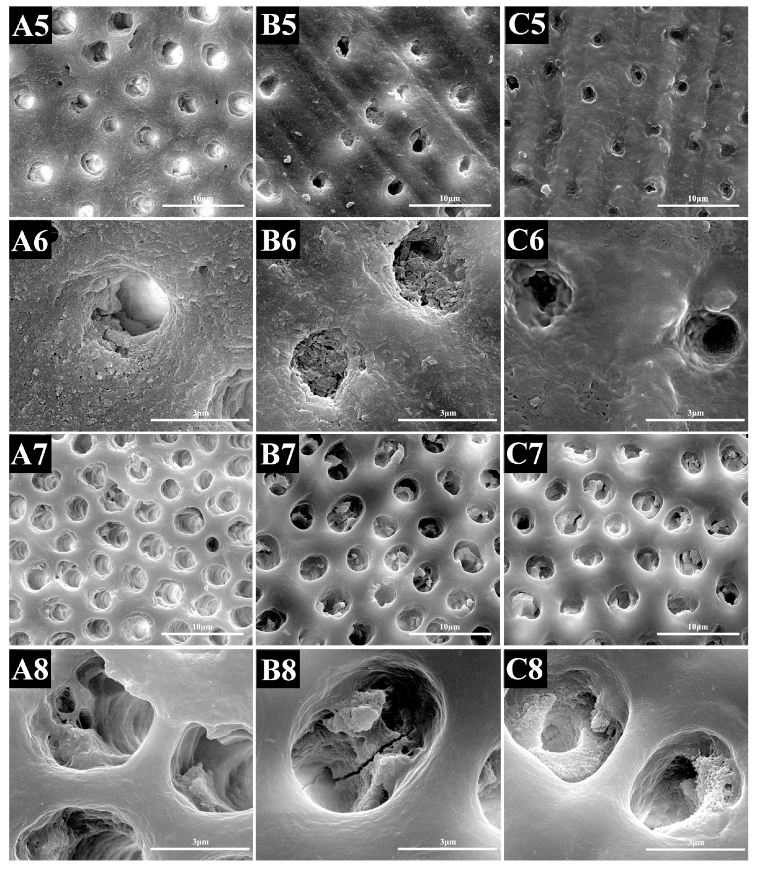 Materials 10 00384 g004