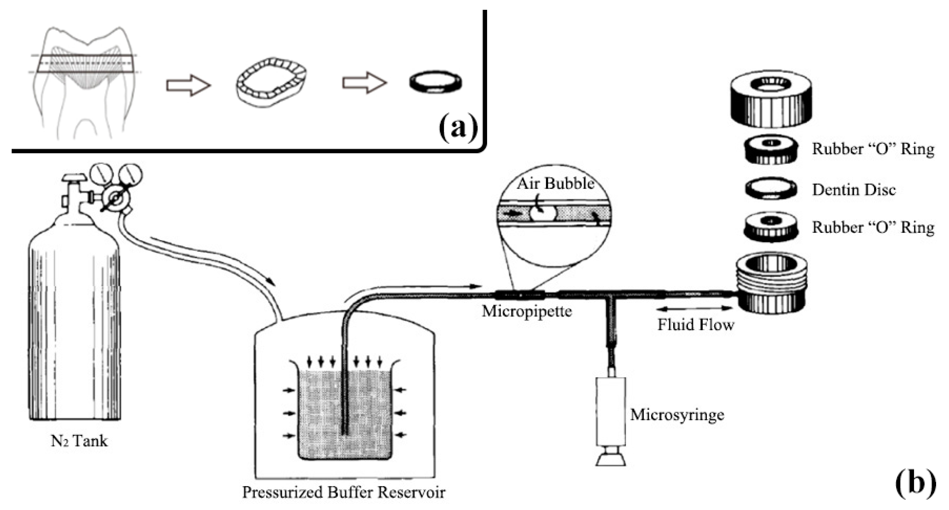 Materials 10 00384 g005