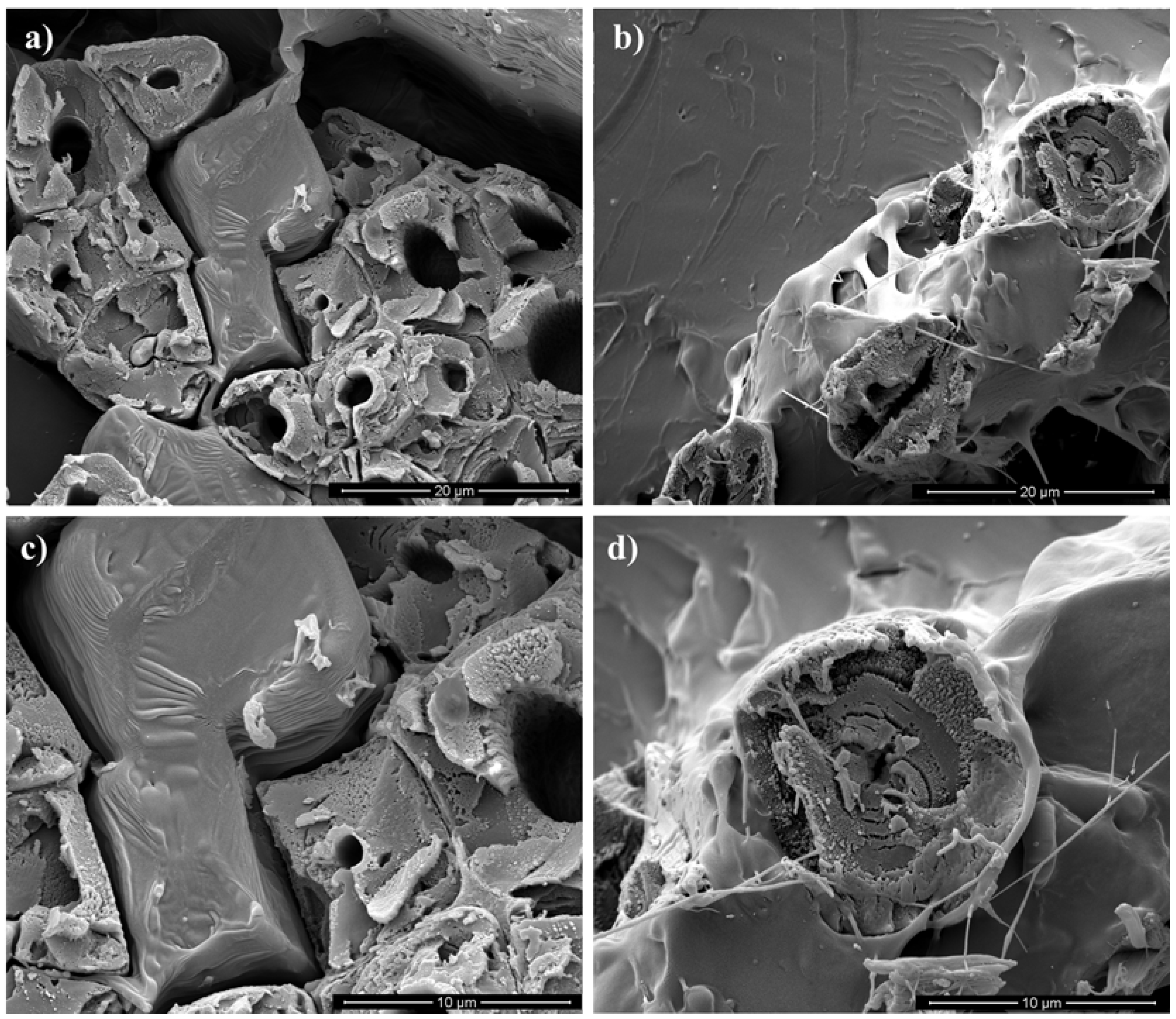 Materials 10 00395 g007