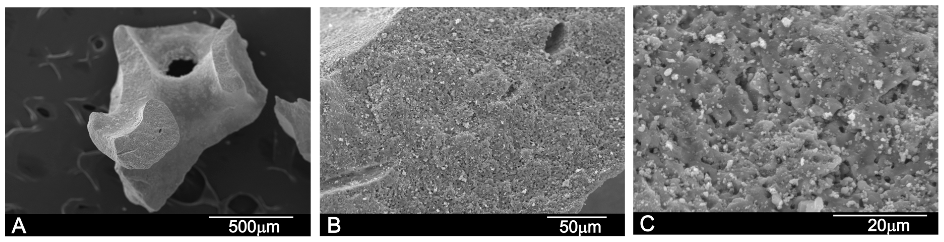 Materials 10 00623 g001